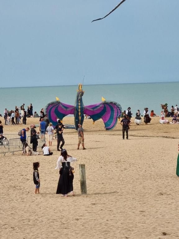 Festival de cerfs-volants et sports de vent sur la plage